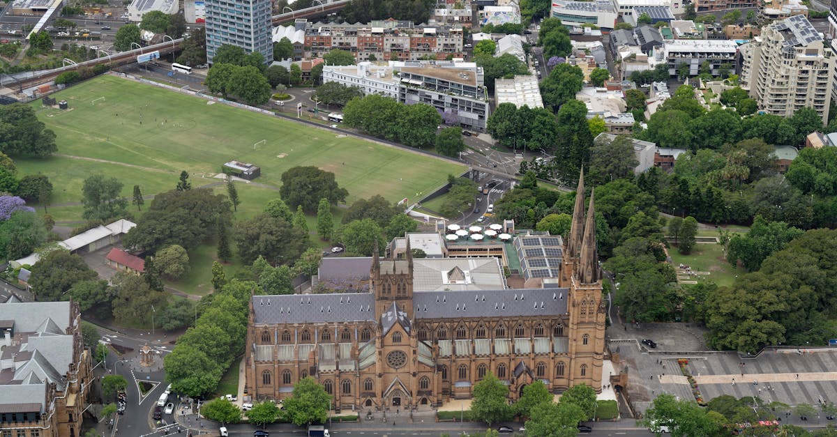 Innovations in Shock Absorption Technology for Athletes